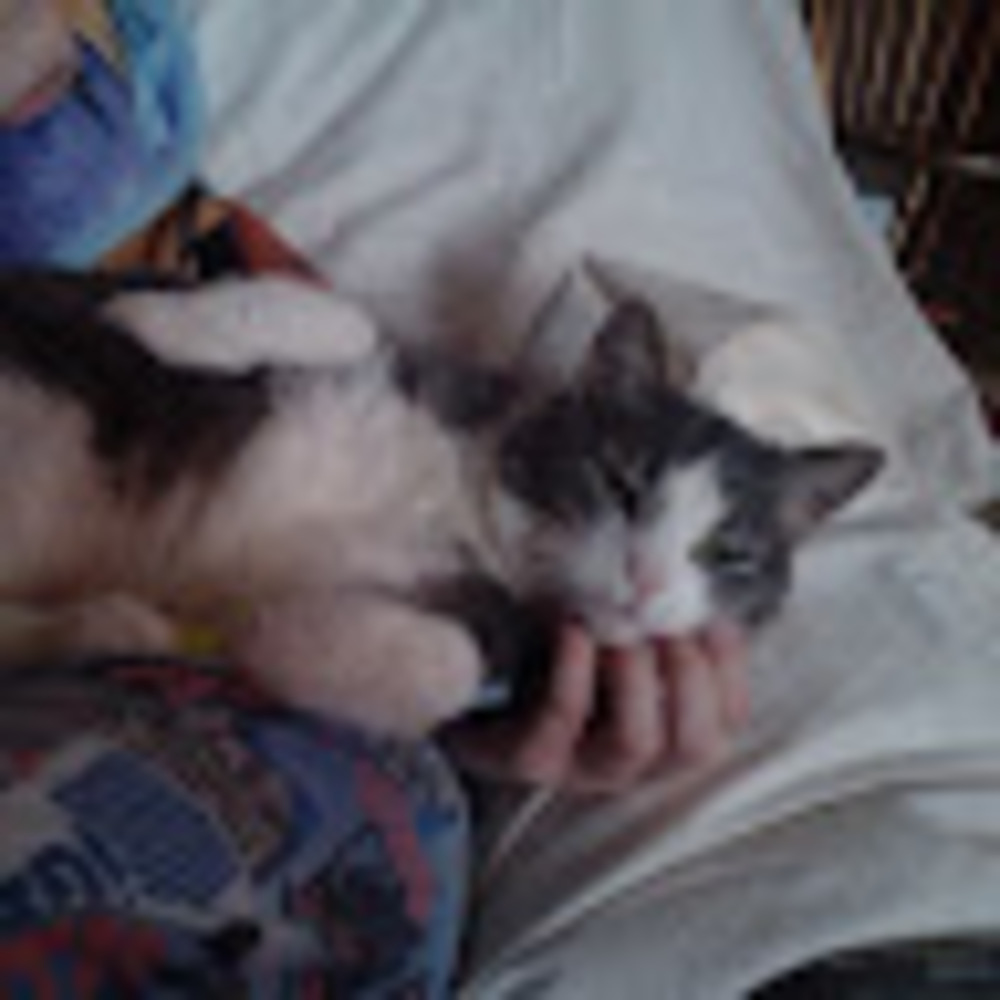 Meet your Posher, Cherry